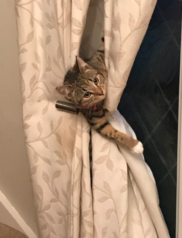 Ruby stuck in the curtain