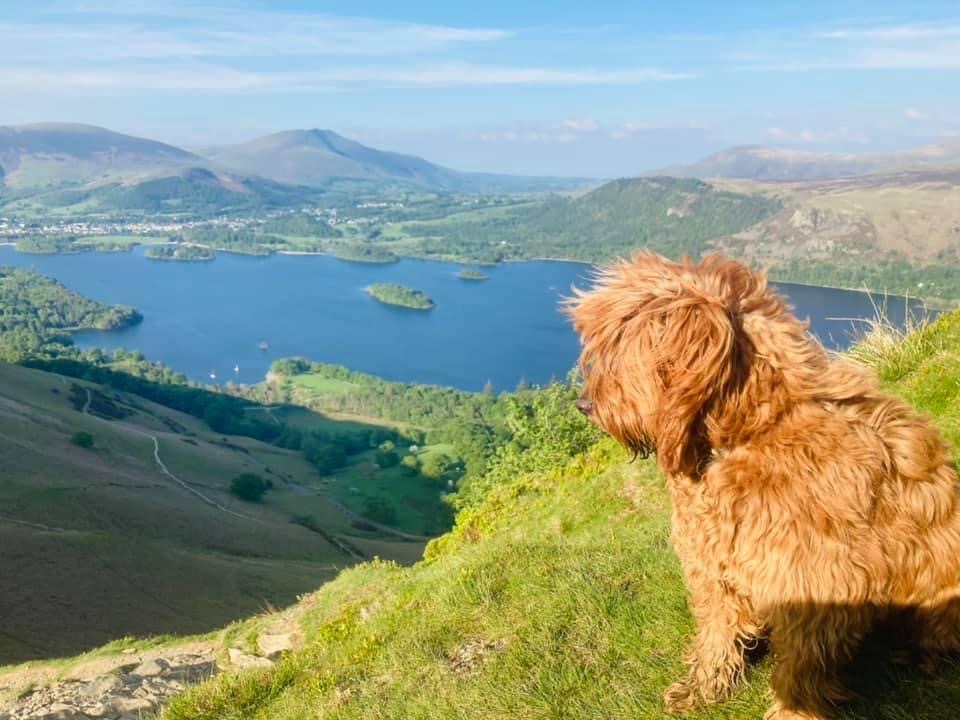 Amber at the lake district