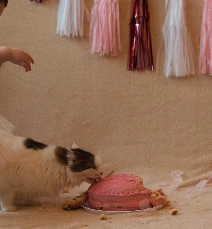 Maisie eating a cake