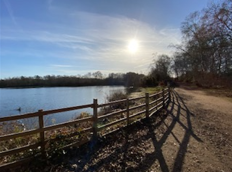 Hartsholme Park lake