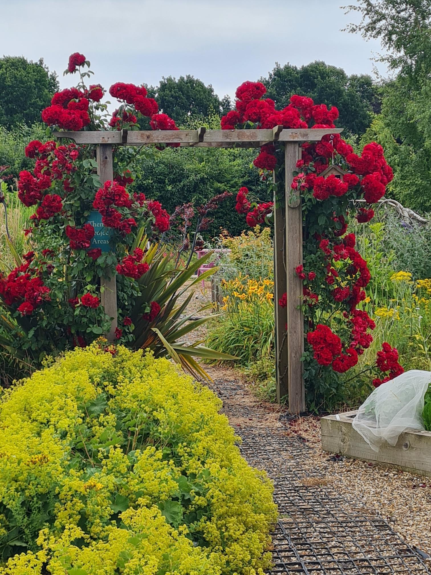 flowers on archway