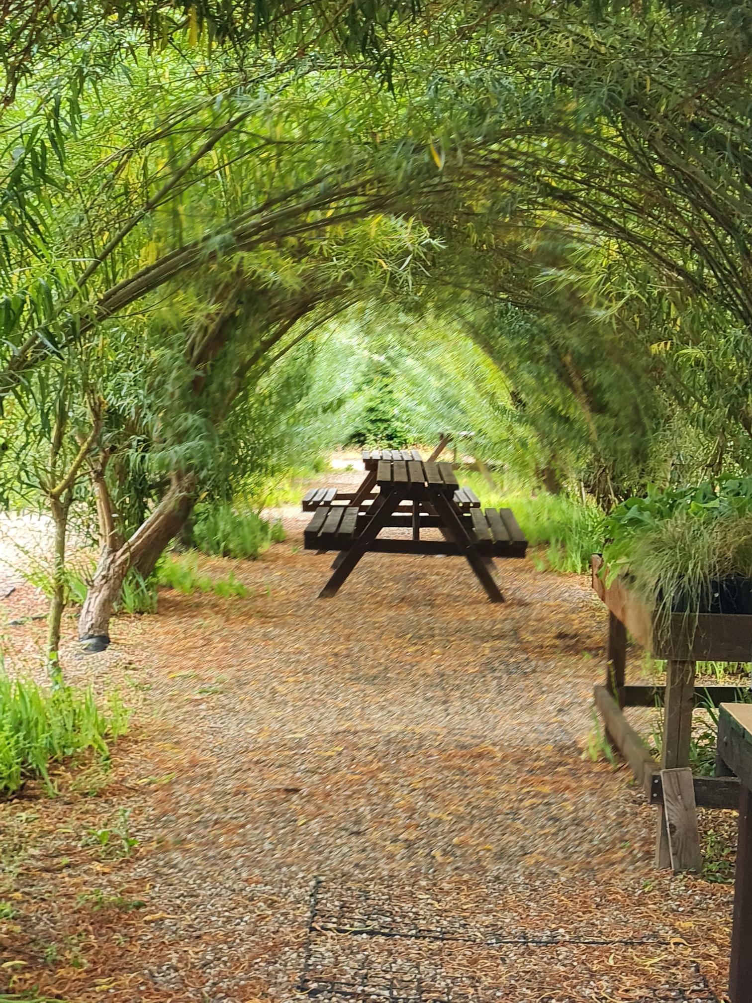WILLOW TUNNEL