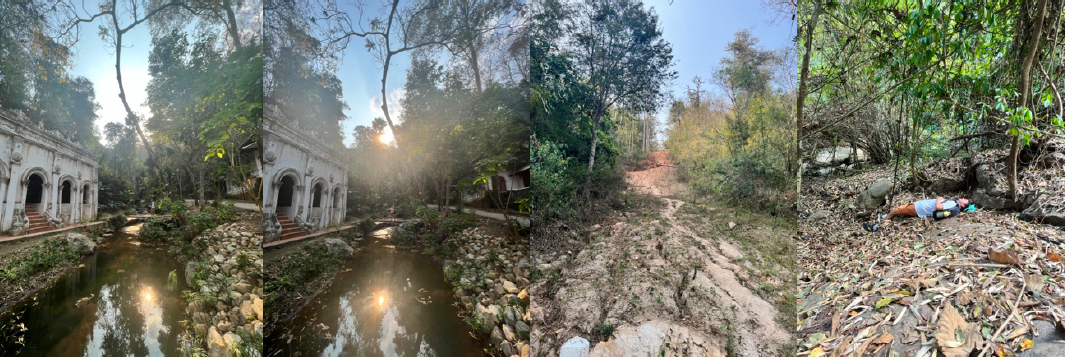 Temples and forest