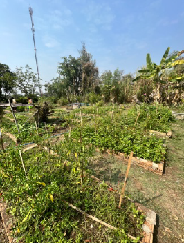 farm