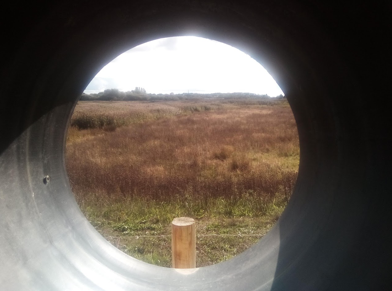 view through pipe