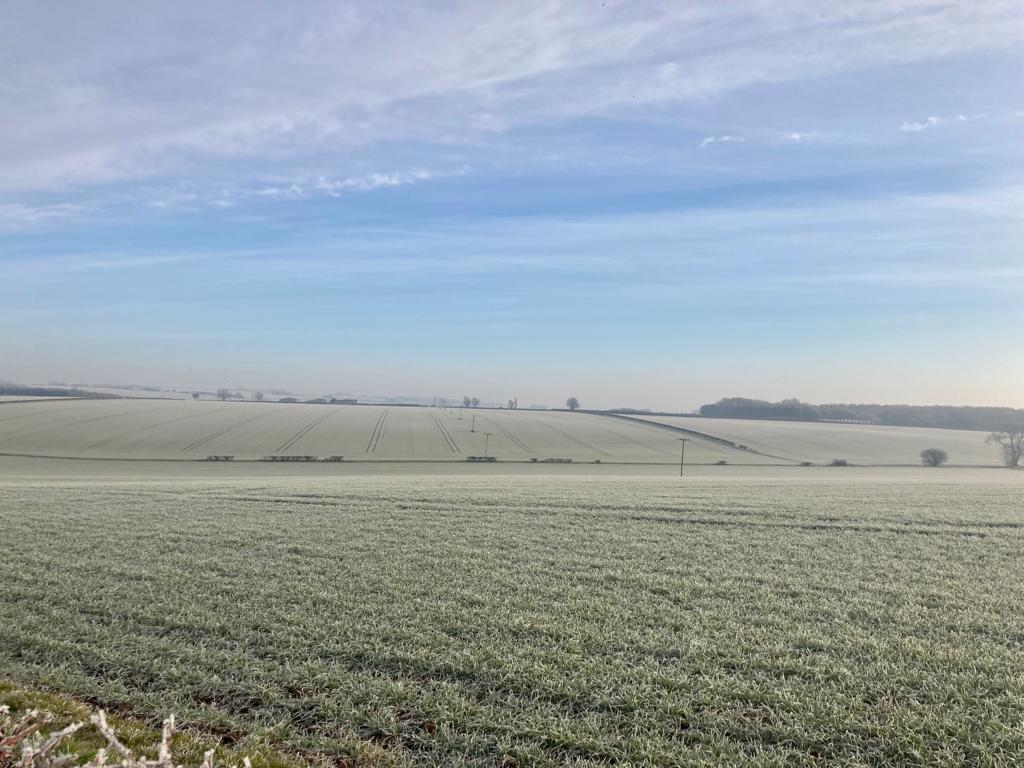 Frosty fields