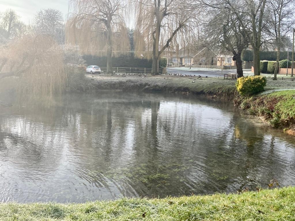 Pond at Little Driffield