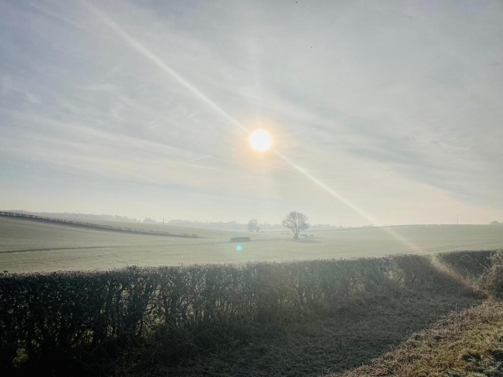 sun across fields