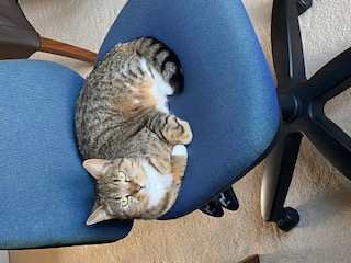 Ruby on office chair