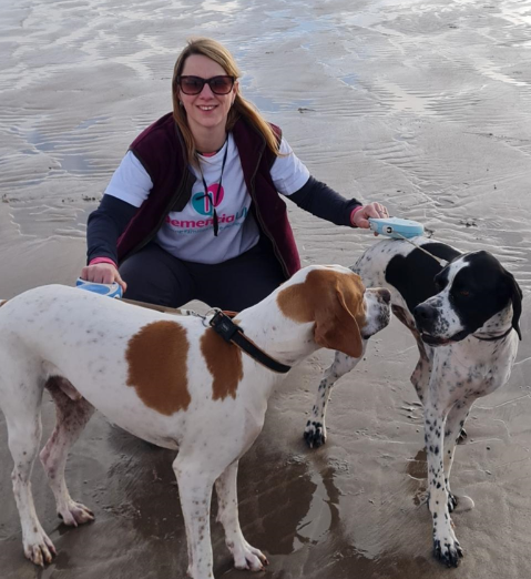 Dogs on beach