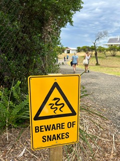 beware of snakes