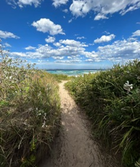 path to beach