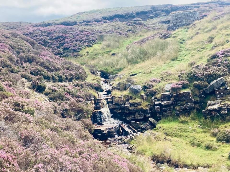 stream