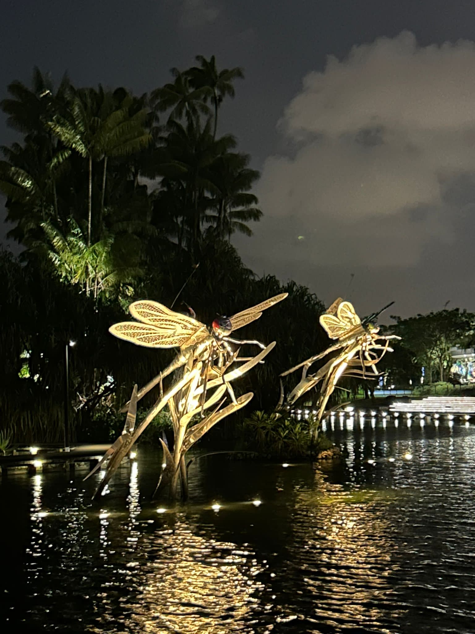 lit up dragonflies