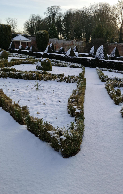snowy gardens