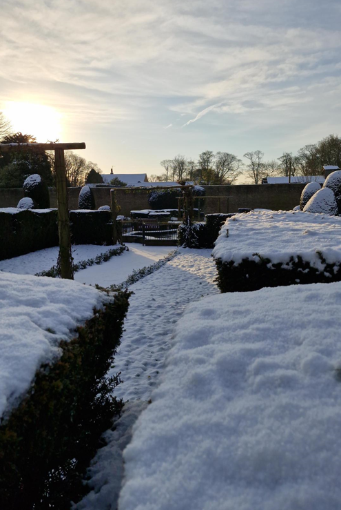 snowy garden