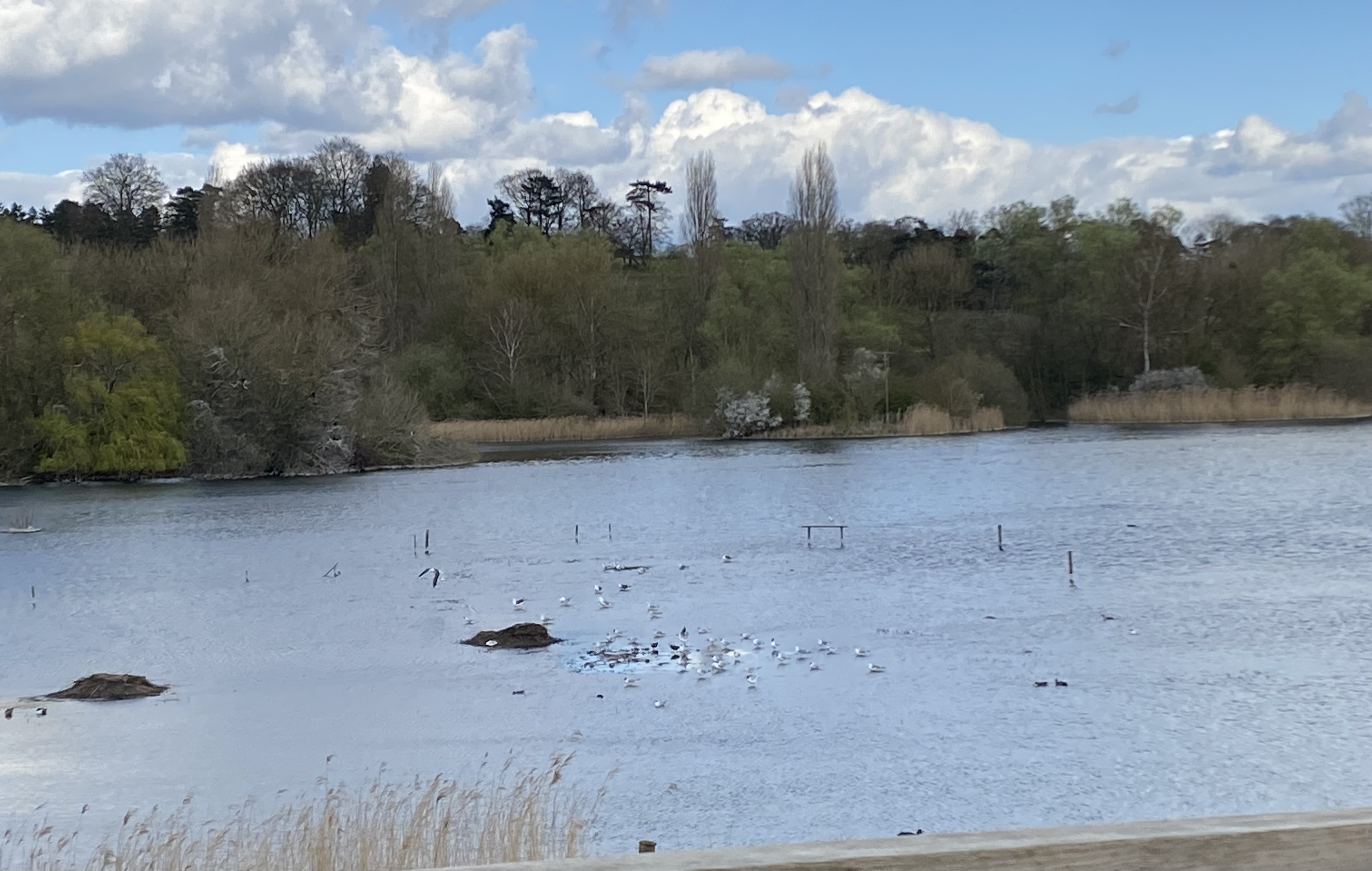 nature reserve
