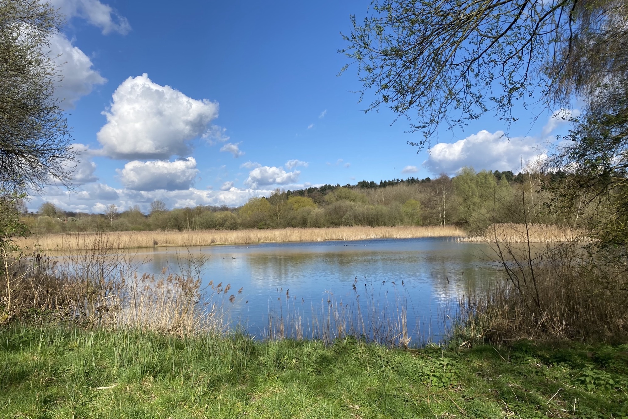 nature reserve