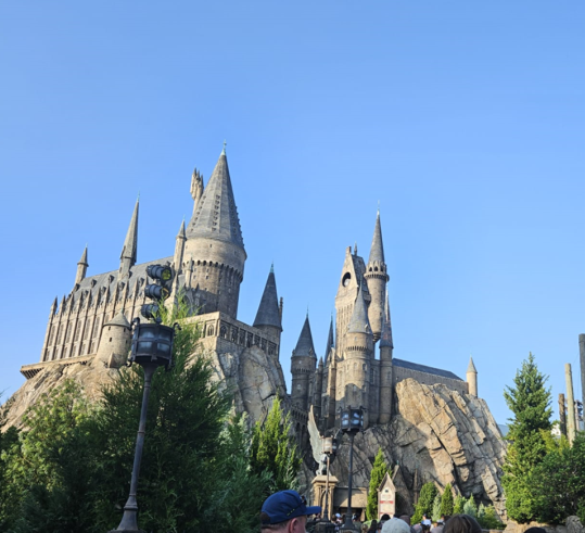 Disney castle