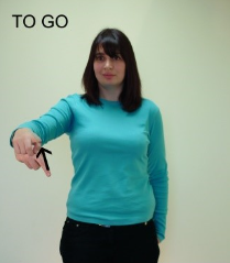 sign for go