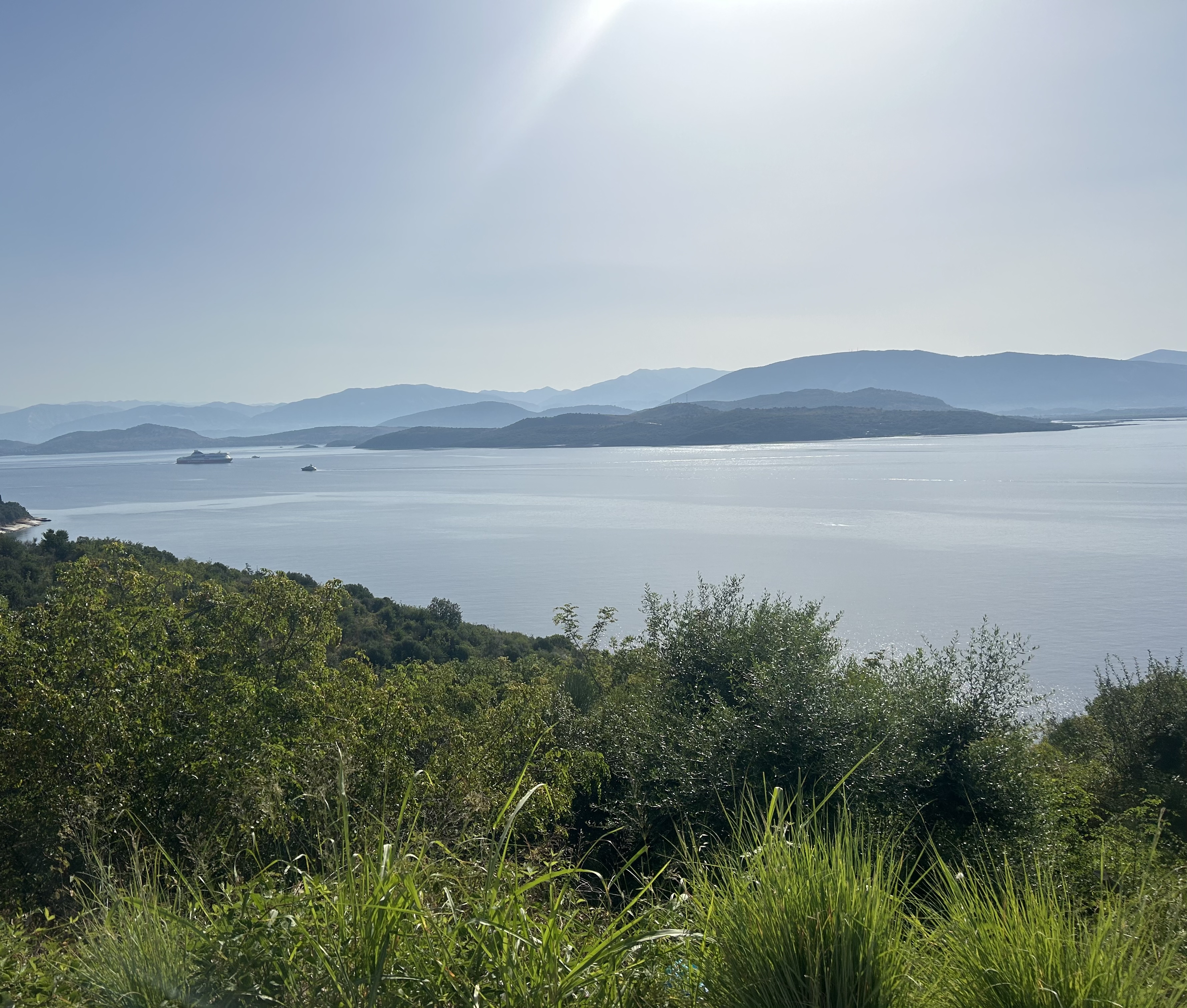 view