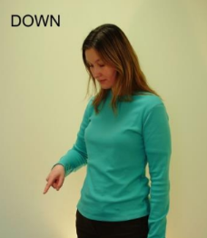 sign for down