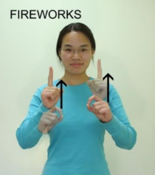 sign for fireworks