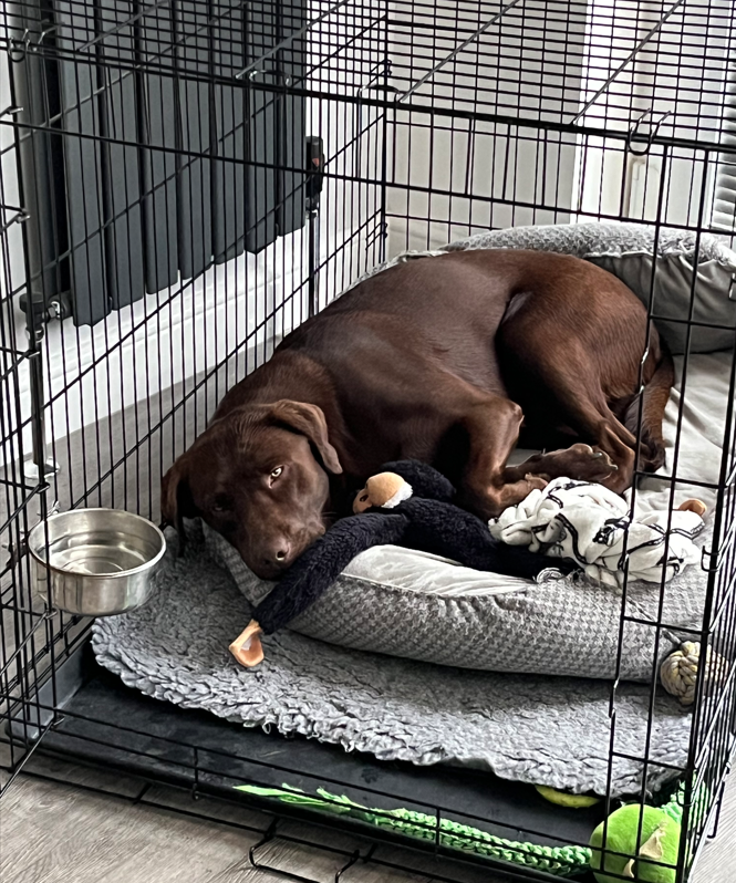 sleepy max