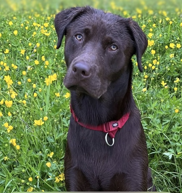 Max