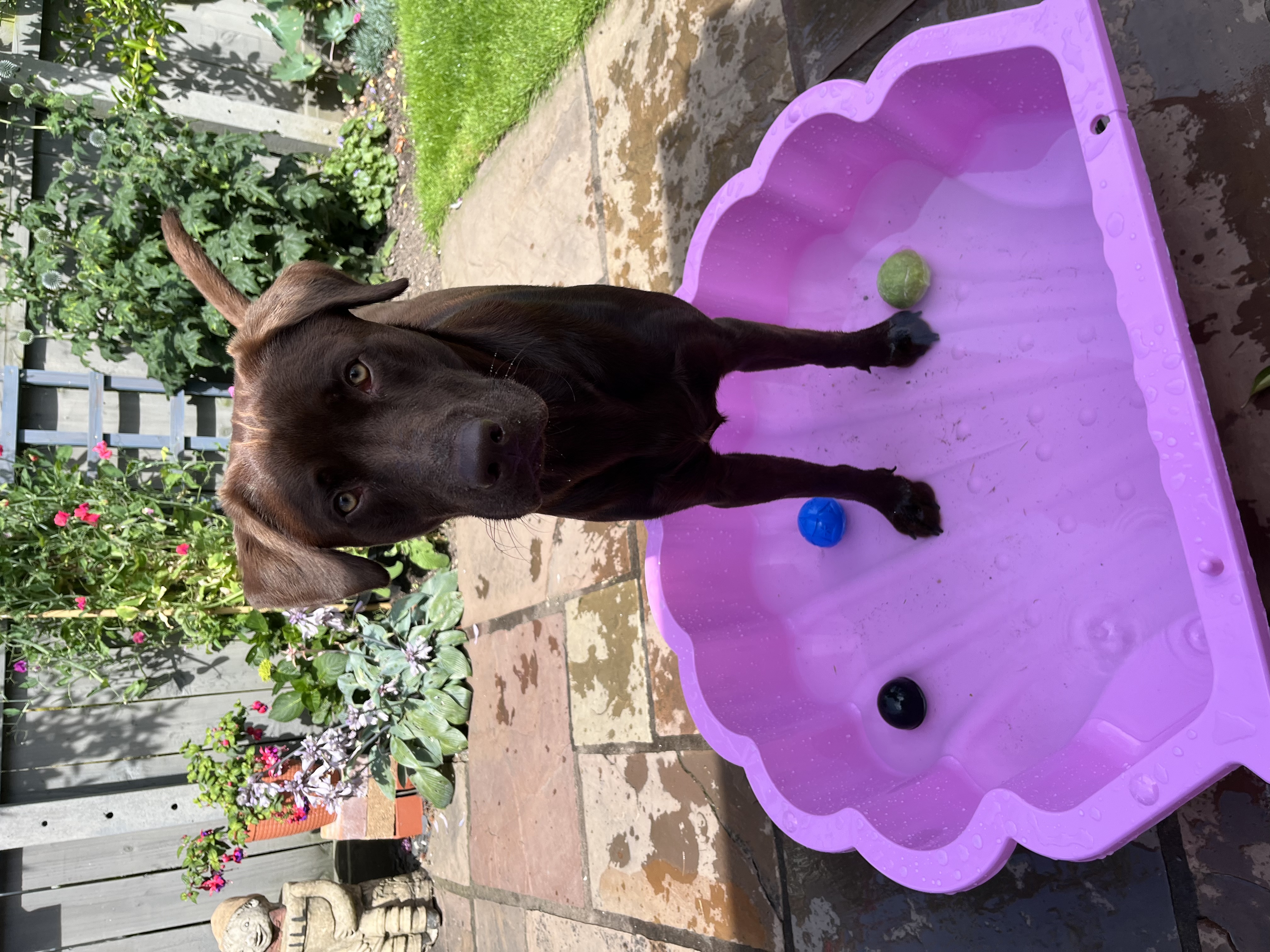 Max keeping cool