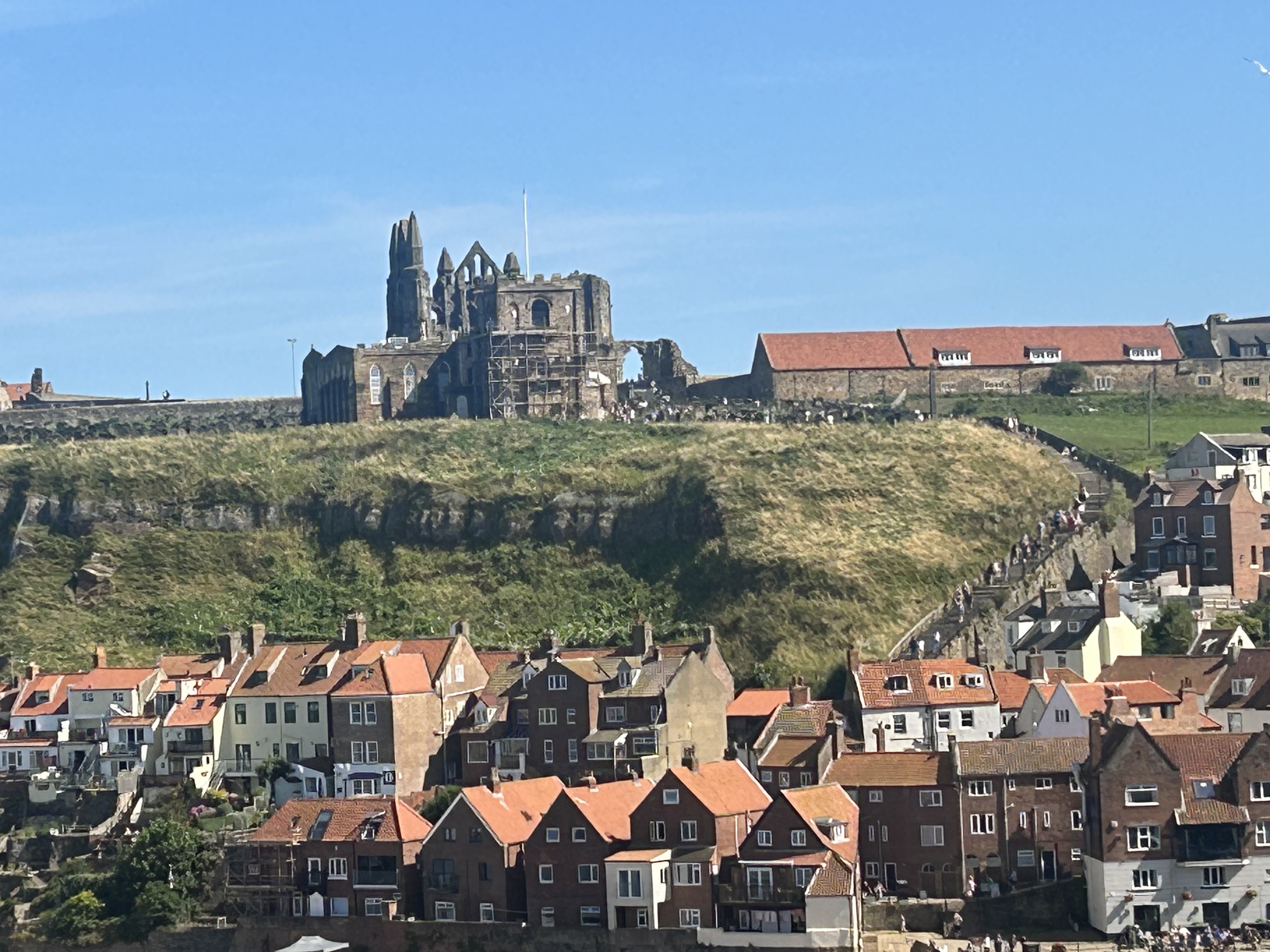 Abby on hill