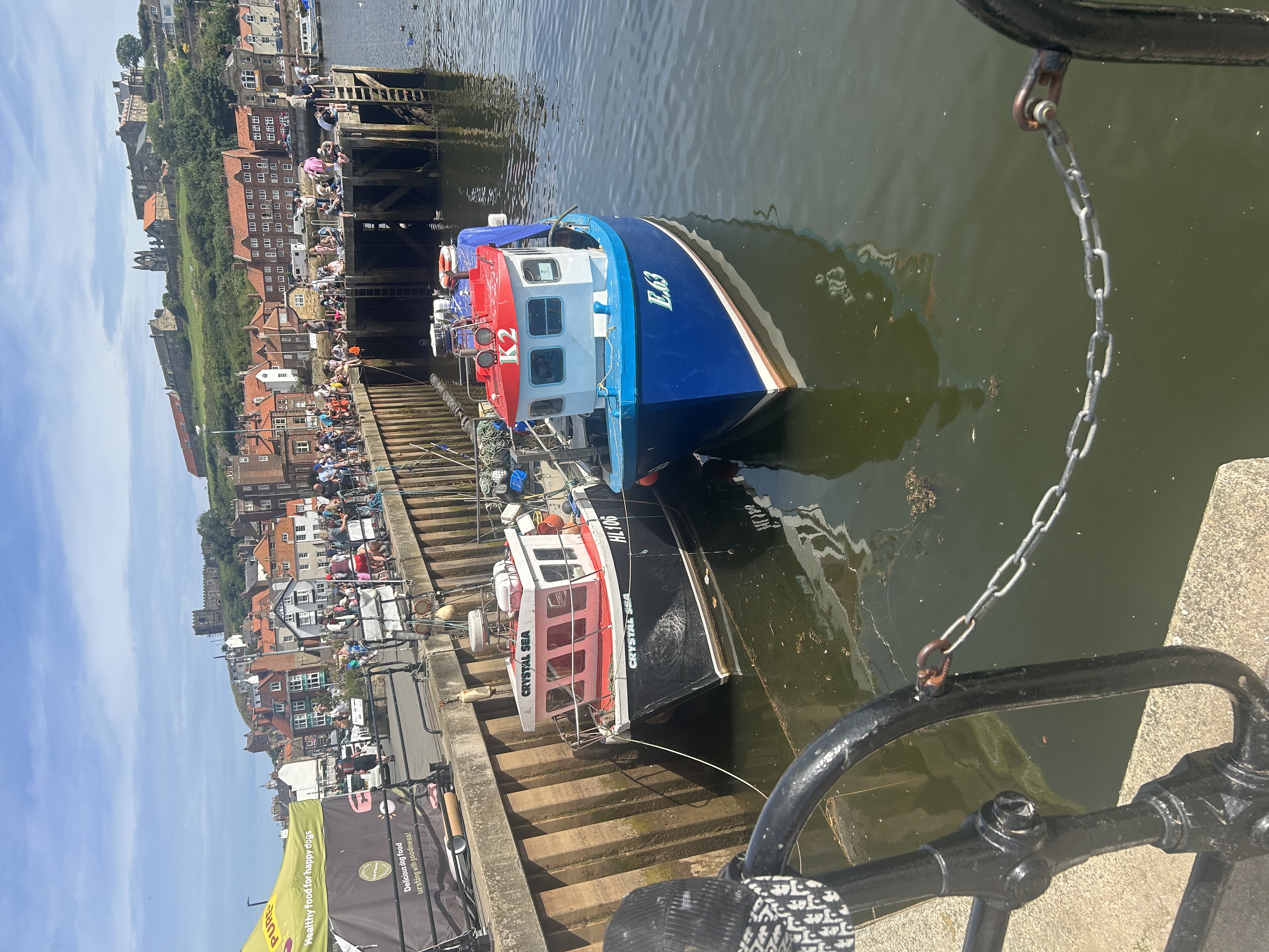 boats