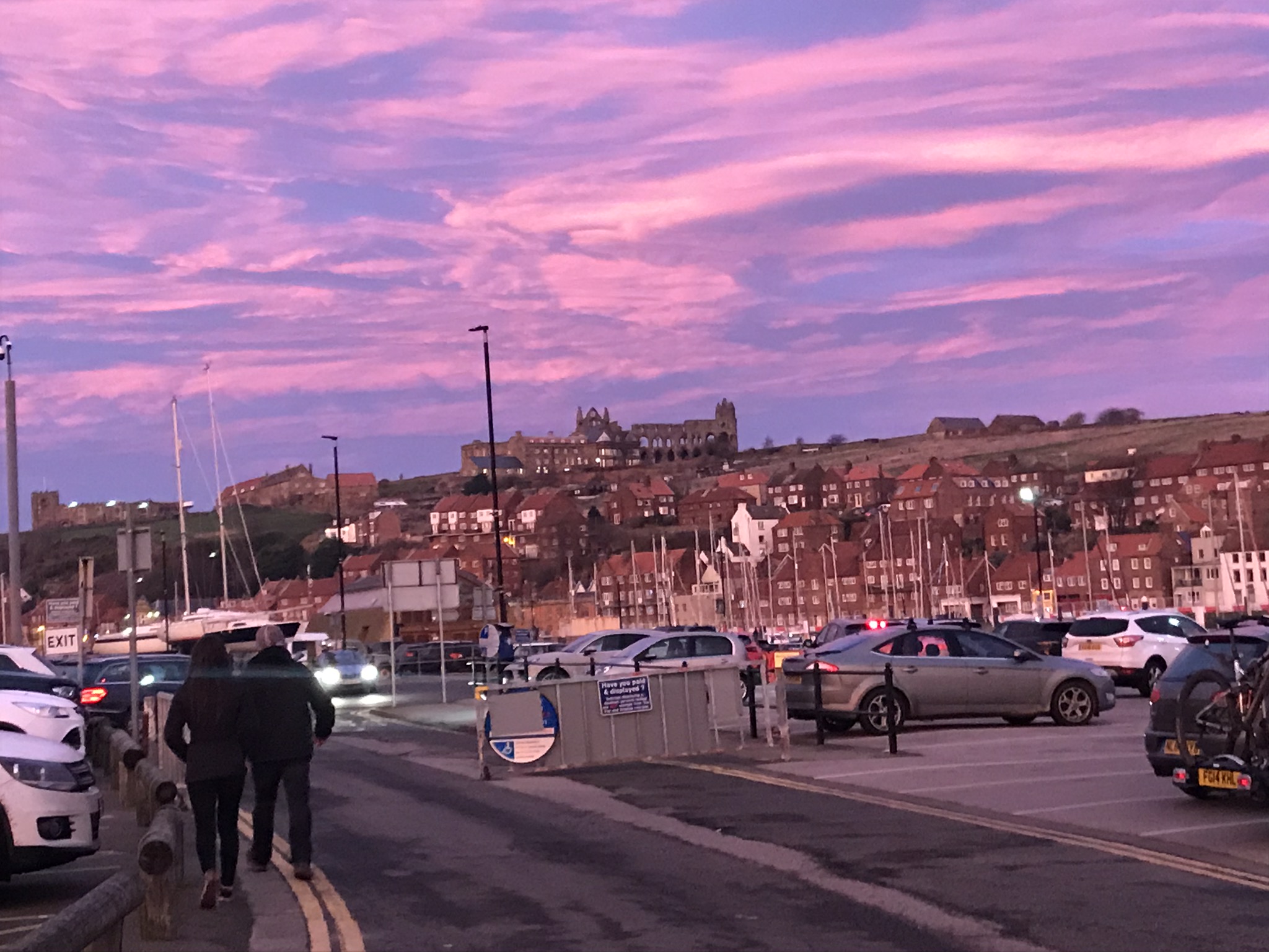 pink sunset