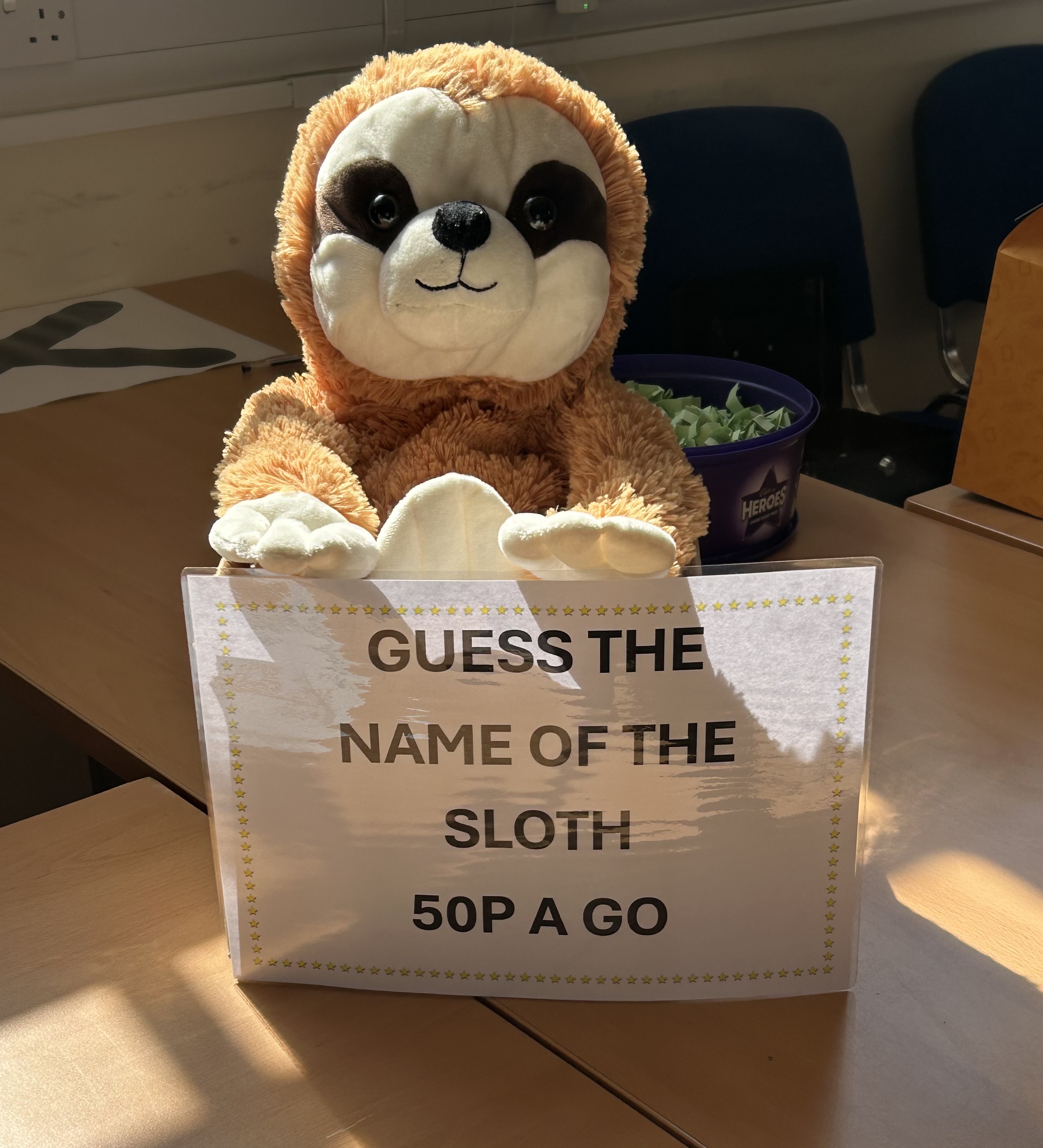 cuddly sloth