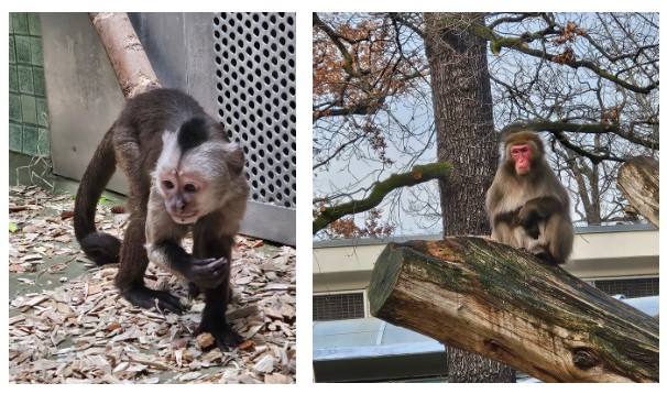zoo