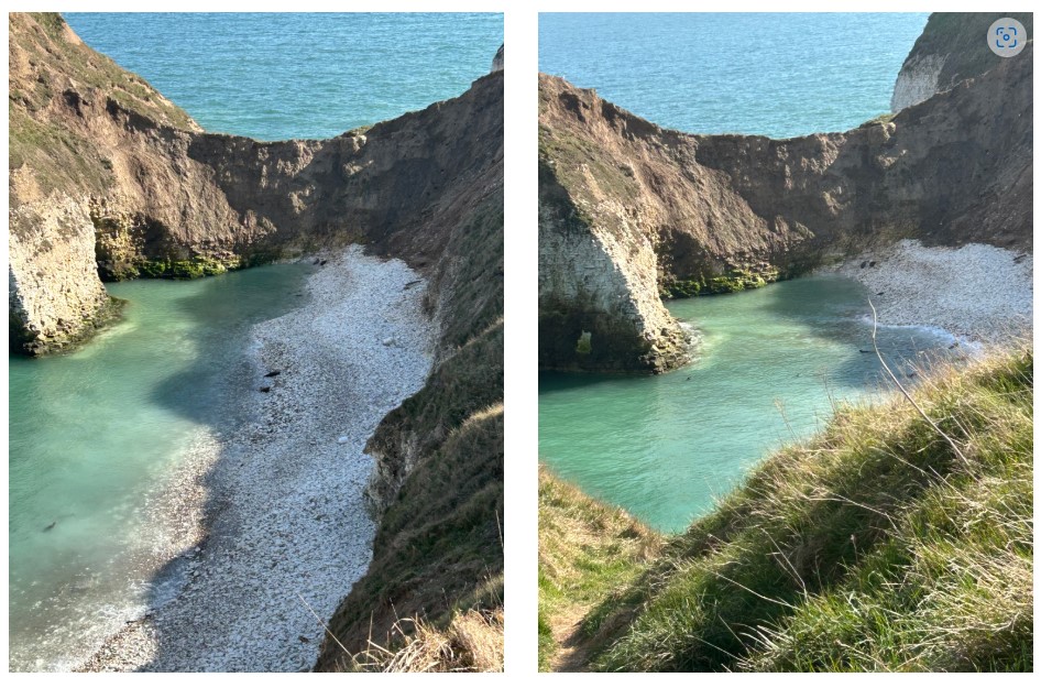 seal cove