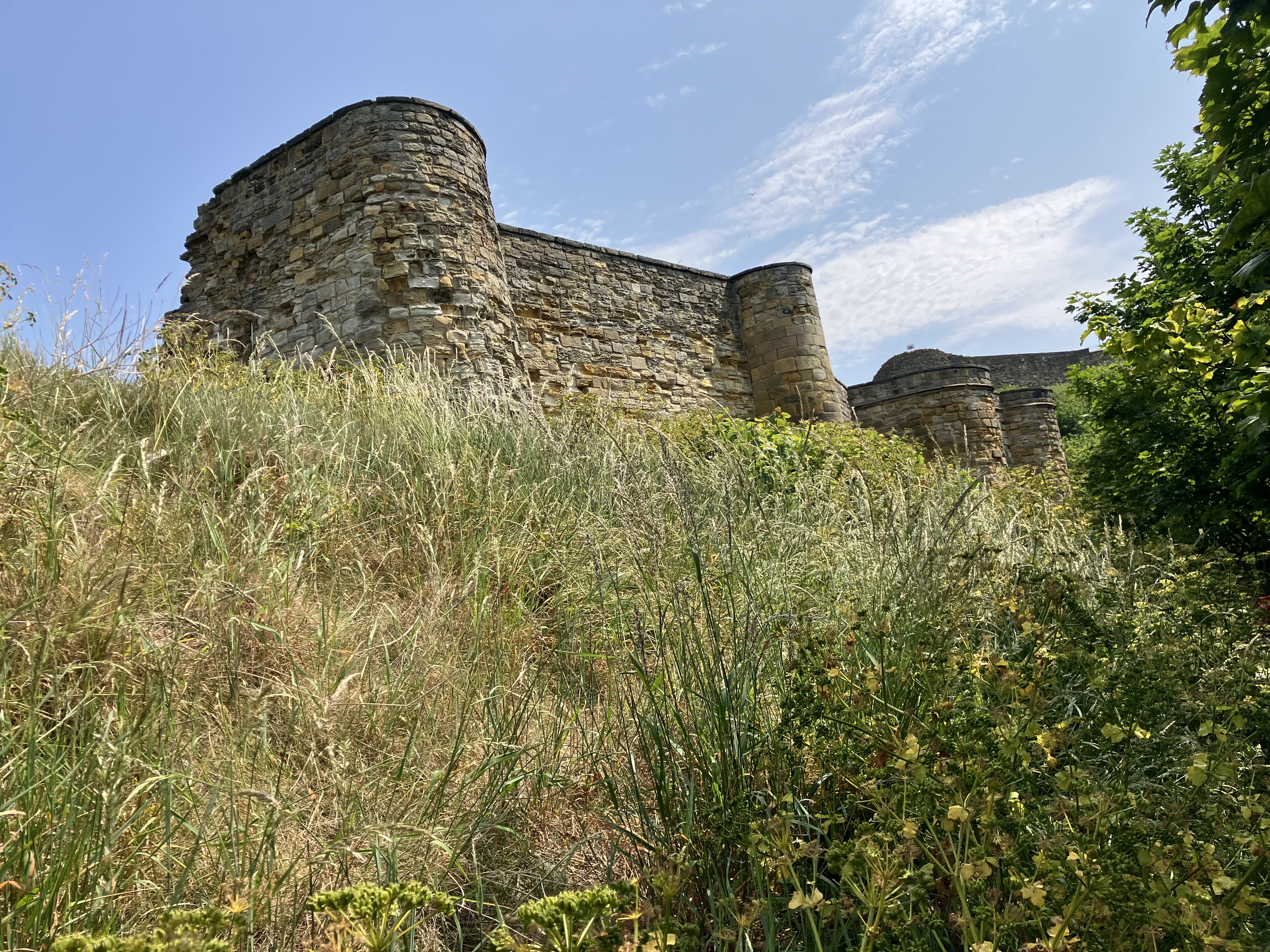 castle wall