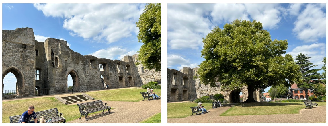 Newark castle