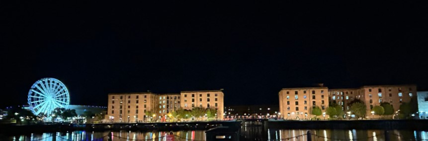 docks & wheel at night