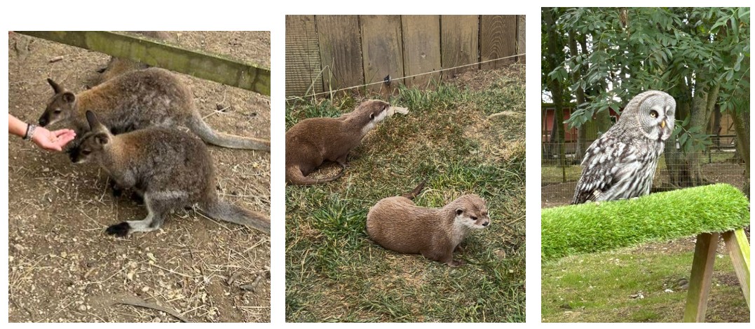 animal park