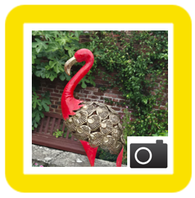 flamingo