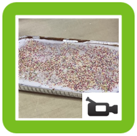traybake