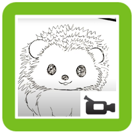 Hedgehog drawing