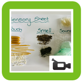 Sensory sheet