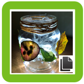 Tealight Craft