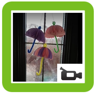 Umbrella