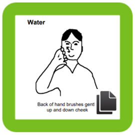 Makaton Sign of the Month - December 