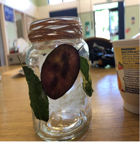 completed leaf jar